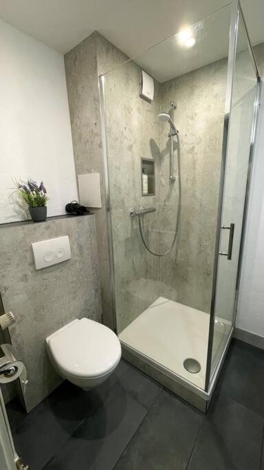 Shine Apartment Оберщауфен Екстериор снимка